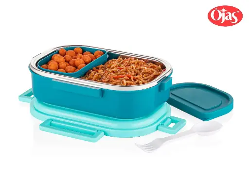 LUNCH BOX 900 ML INSIDE PLASTIC DABBI